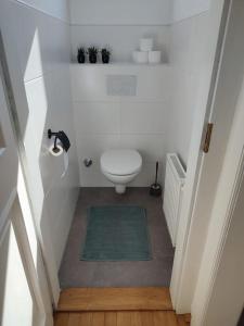 een kleine badkamer met een toilet en een groen tapijt bij Maisonette Wohnung 110qm in Linz. in Linz