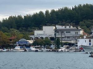 a group of boats are docked in a harbor at Captain's Beach Apartments in Limenas