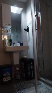 bagno con doccia e lavandino di F&M Apartment No 18 a Skopje