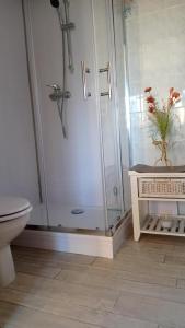 ein Bad mit einer Dusche, einem WC und einer Vase aus Blumen in der Unterkunft Les Cigales in Villelaure