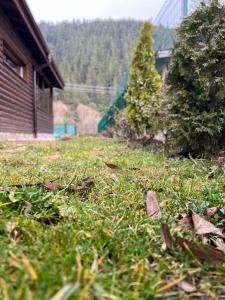 une cour avec de l'herbe et des feuilles dans l'herbe dans l'établissement Guest House Recharge, à Govedartsi