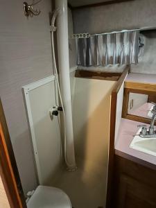a bathroom with a toilet and a sink at Annapolis Boat Life - Overnight Stays in Annapolis