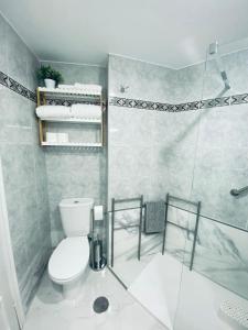 y baño con aseo y ducha. en Apartamento Centro NOVORT, en Gijón