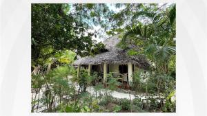 Gallery image of Bellevue Zanzibar in Bwejuu