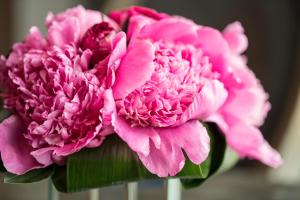 zwei rosa Blumen in einer Vase in der Unterkunft The Ritz-Carlton, Cleveland in Cleveland