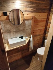 a bathroom with a sink and a mirror and a toilet at Osada Brzeziny - 25 minut od Warszawy - sauna, balia z jacuzzi, basen, altana, grill, ogród, ognisko in Brzeziny +14 photos