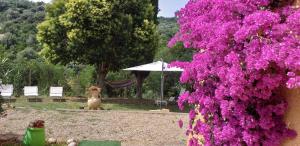 A garden outside DIMORA IL CAMALEONTE apartments in nature with pool