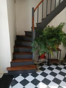 a staircase with two plants and a checkered floor at Au Logis de Véchillot in Angoulême