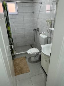 a small bathroom with a toilet and a sink at Lux apartment Bijeljina in Bijeljina