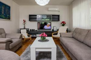 伊莫茲基的住宿－Villa Ana 1，带沙发和电视的客厅