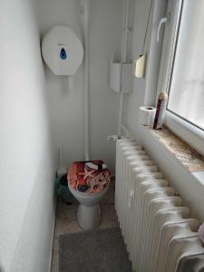 a bathroom with a toilet and a window at Átutazó Apartman in Nyíregyháza