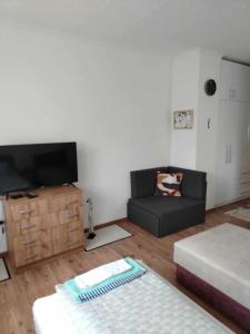 a living room with a couch and a tv at Átutazó Apartman in Nyíregyháza +11 photos