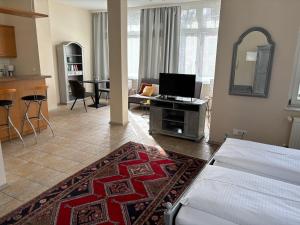 a living room with a couch and a tv in it at Schmiedehaus - Appartement in Heringsdorf