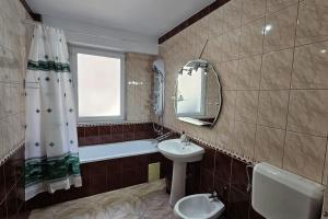 ein Badezimmer mit einem Waschbecken, einem WC und einem Spiegel in der Unterkunft Radauti Residence 1P in Rădăuţi