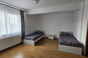 1 Schlafzimmer mit 2 Betten und einem Fenster in der Unterkunft Radauti Residence 1P in Rădăuţi
