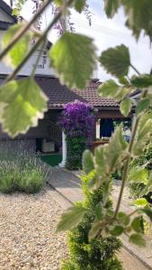 einen Garten mit lila Blumen vor einem Haus in der Unterkunft Sobe VaLux Valpovo in Valpovo