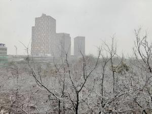 Park View City Center Location Apartment with Balcony en invierno