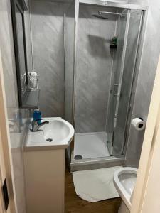 La salle de bains est pourvue d'une douche et d'un lavabo. dans l'établissement The Barrington Hotel, à New Barnet