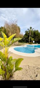 uma grande piscina num parque com árvores em HOUSE WITH PRIVATE GARDEN em Finestrat