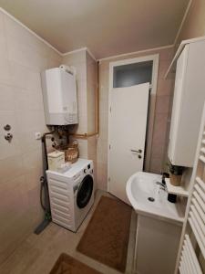 a small bathroom with a washing machine and a sink at Apartman ML in Lukavica +6 photos