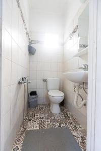 uma casa de banho com um WC e um lavatório em EVRIAKI'S HOUSE em Apidias Lakos