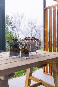 três vasos de plantas sentadas em cima de uma mesa de madeira em Apartamentos Montes Vindios em Cangas de Onís