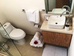 La salle de bains est pourvue d'un lavabo, de toilettes et d'un miroir. dans l'établissement Cerca de hospital infantil wtc centrico y seguro!, à Mexico