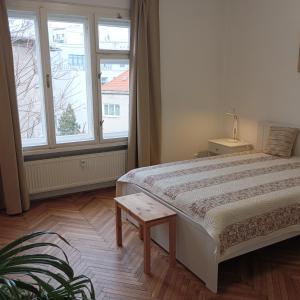 1 dormitorio con cama y ventana grande en Mona Lisa Apartment, en Bratislava