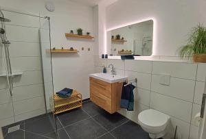 ein Badezimmer mit einem Waschbecken, einem WC und einem Spiegel in der Unterkunft Moderne Ferienwohnung im Herzen von Königstein in Königstein an der Elbe