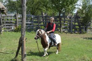 Jazda na koni pri farme alebo okolí