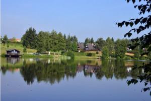 a view of a lake with houses and trees at FichtelOase in Nagel