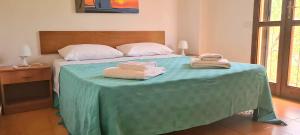 Postel nebo postele na pokoji v ubytování HOLIDAY HOME TORRE DELLE STELLE