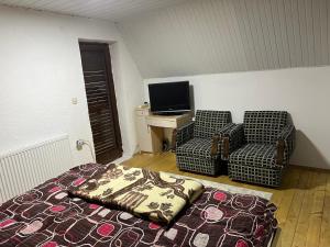 una camera con letto, sedia e televisore di Mountain Vila in Ponikva a Kočani