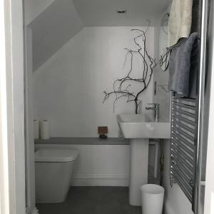 La salle de bains blanche est pourvue d'un lavabo et de toilettes. dans l'établissement Stone street, à Faversham