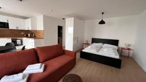 Kuchyňa alebo kuchynka v ubytovaní 1,5 room Apartment with terrace, new building, B1