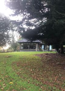 a house with a tree in front of it at Springwood - Royal Hillsborough in Hillsborough