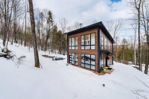 Cozy and beautiful chalet om vinteren