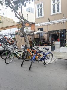 un grupo de bicicletas estacionadas junto a un árbol en Hospedaje Boutique Albergue Verde, en Lima