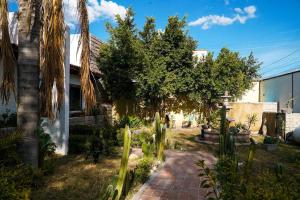 a garden with palm trees and a brick path at Casa Mer, el oasis de la música y el agua in Tequisquiapan