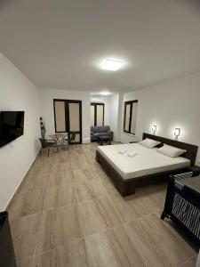 ein Schlafzimmer mit einem Bett, einem Sofa und einem TV in der Unterkunft St George Apartcomplex in Shkorpilovtsi