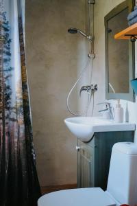 łazienka z umywalką i toaletą w obiekcie Domček w mieście Nowe Zamki