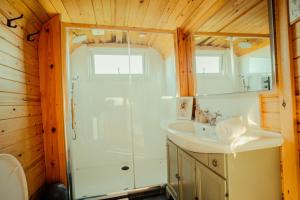 a bathroom with a shower and a sink at Hex at Hollands Farmhouse in Dorchester