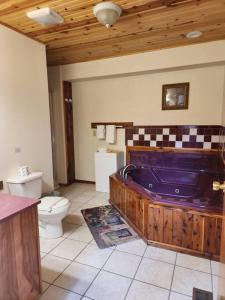 a bathroom with a tub and a toilet at Optimum #9 with Hot Tub and Jacuzzi on Patoka Lake in Southern Indiana in Tunnelton