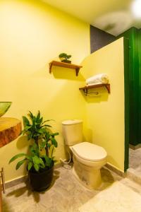 uma casa de banho amarela com um WC e uma planta em Waikiki Beach em Dibulla