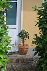 una maceta sentada frente a una puerta en SEEBADHOF - Landhaus Kaiser, en Rangsdorf