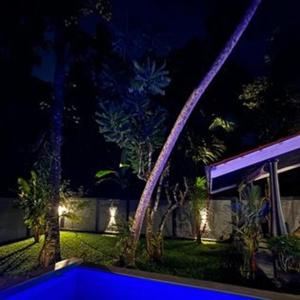 een zwembad in een tuin 's nachts bij Villa Luxury Virginia With Pool and garden in Ginimellagaha West