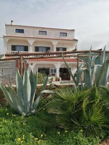 CASA DA HORTA外面的花园