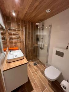 a bathroom with a toilet and a sink and a shower at Mugavustega korter pargi serval in Jõhvi