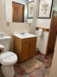 a bathroom with a toilet and a sink and a mirror at Two Bedroom Cozy Cabin #14 on Patoka Lake in Southern Indiana in Paoli
