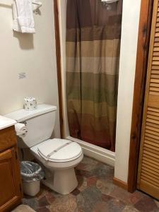 a bathroom with a toilet and a shower at Two Bedroom Cozy Cabin #14 on Patoka Lake in Southern Indiana in Paoli